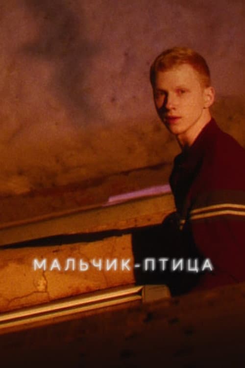 Мальчик-птица (2025) poster