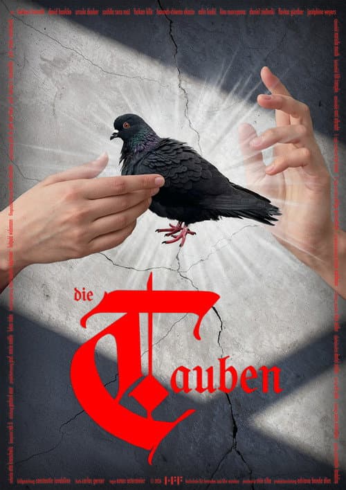Die Tauben (2026) poster