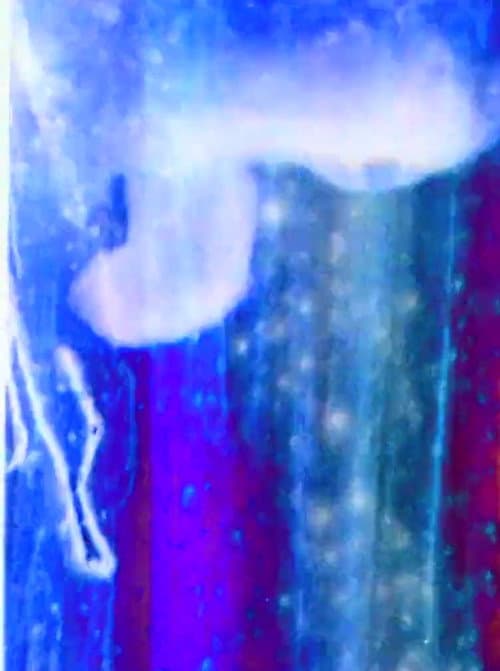 Light Song (2016) poster
