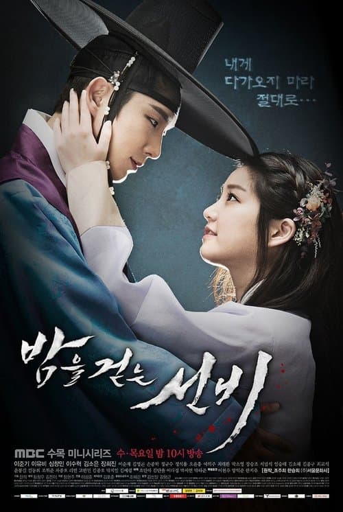밤을 걷는 선비 (2015) poster