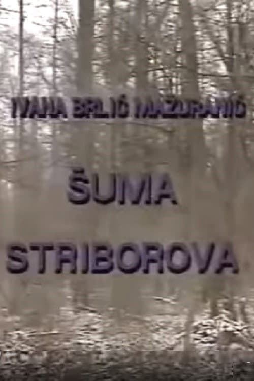 Šuma Striborova (1991) poster