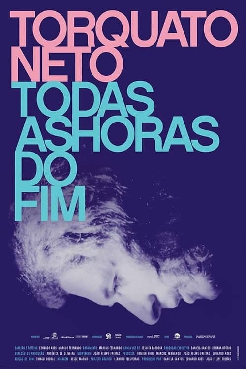 Torquato Neto - Todas as Horas do Fim (2017) poster