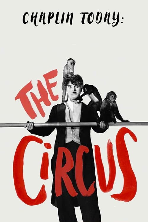 Chaplin Today: The Circus (2003) poster