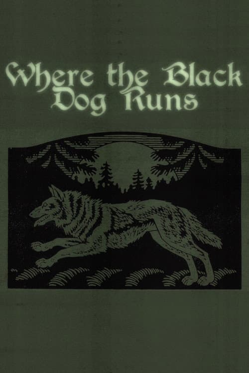 Where the Black Dog Runs (2026) poster