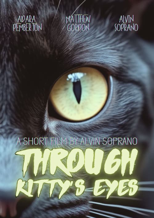 Through Kitty’s Eyes (2013) poster