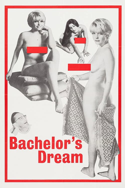 The Bachelor's Dreams (1967) poster