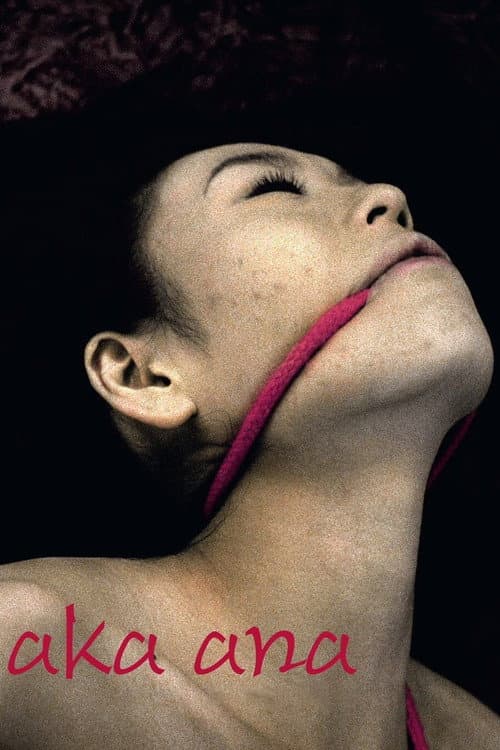 Aka Ana (2008) poster