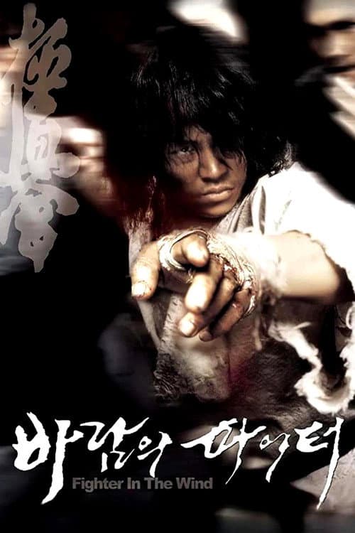 바람의 파이터 (2004) poster