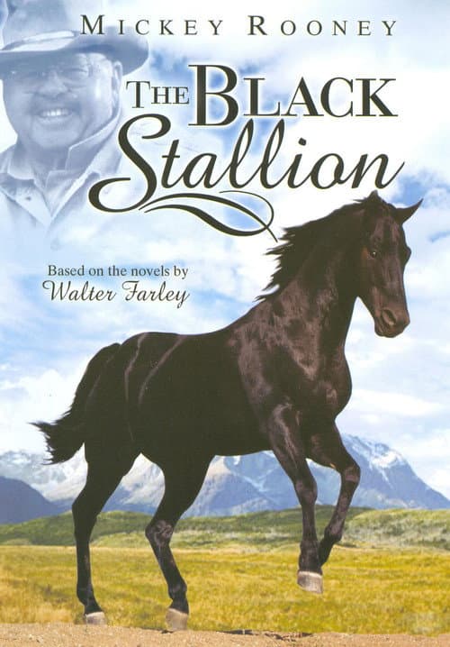 Adventures of the Black Stallion (1990) poster