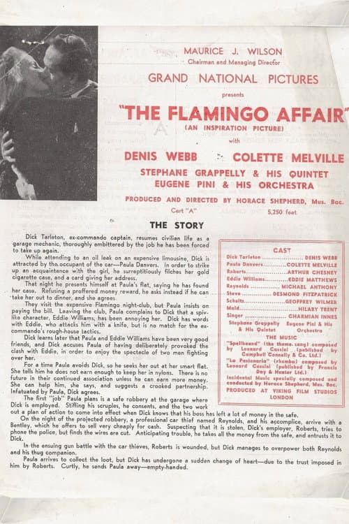 The Flamingo Affair (1948) poster