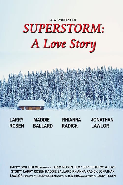 Superstorm: A Love Story (2019) poster