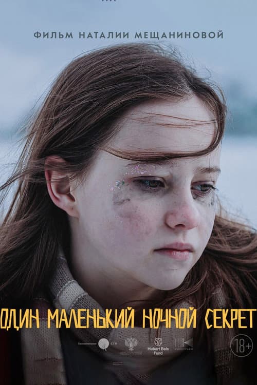 Один маленький ночной секрет (2023) poster