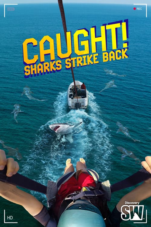 Caught! Sharks Strike Back (2025) poster