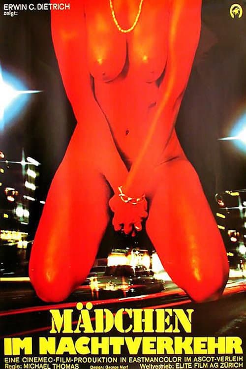 Mädchen im Nachtverkehr (1976) poster