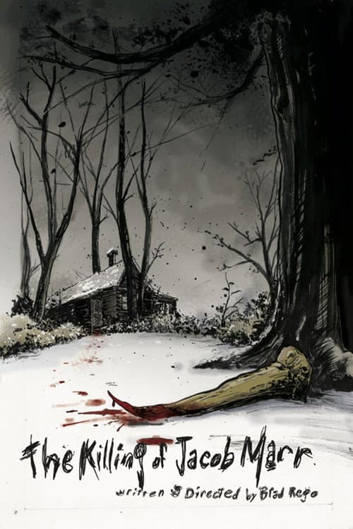 The Killing of Jacob Marr (2010) poster