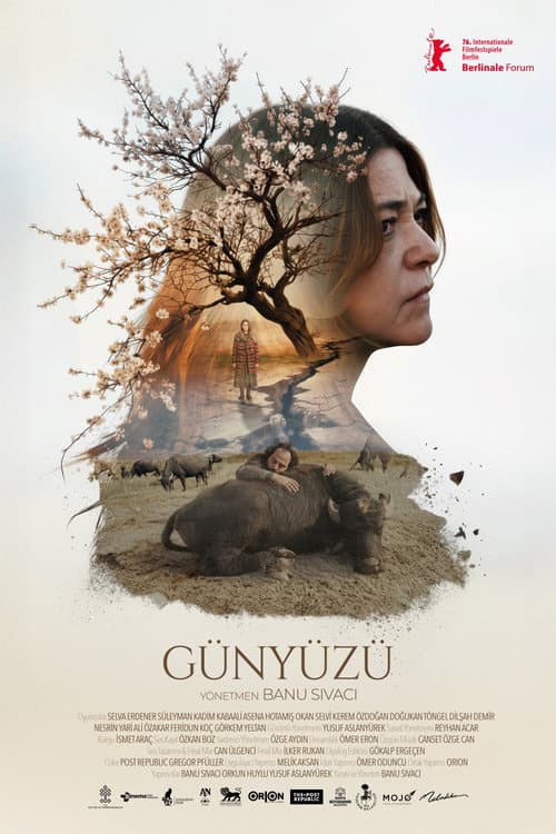 Günyüzü (2027) poster