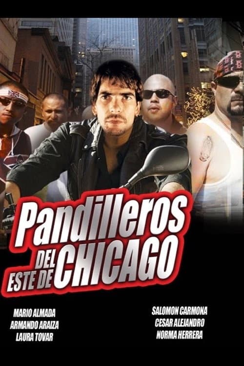 Chicago, pandillas salvajes (1991) poster