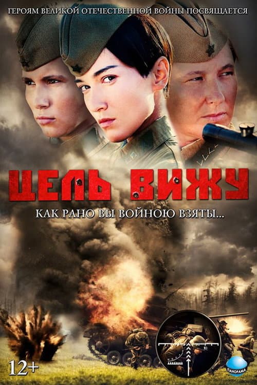 Цель вижу (2013) poster