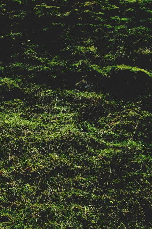 Untitled / Aubrac (2016) poster