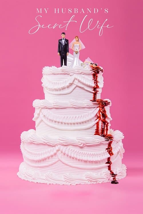My Husband's Secret Wife (2018) poster