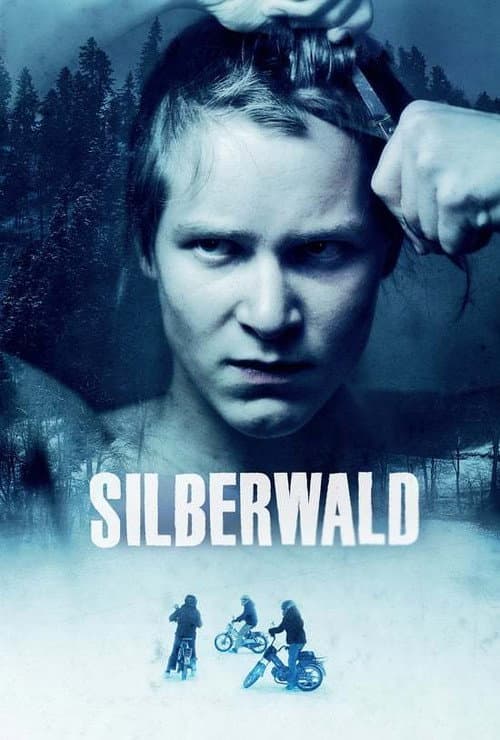 Silberwald (2011) poster