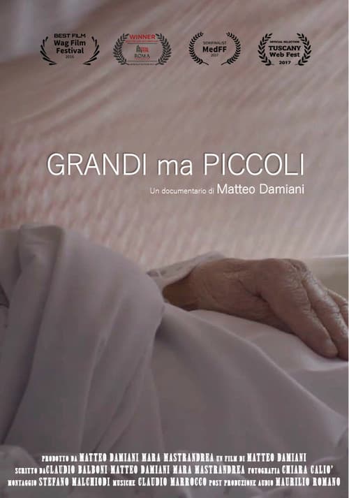 Grandi ma piccoli (2017) poster