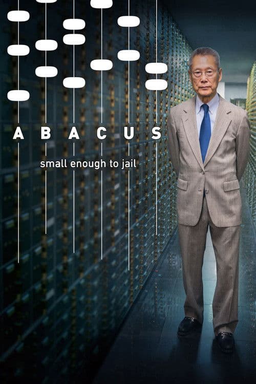 Abacus: Small Enough to Jail (2017) poster