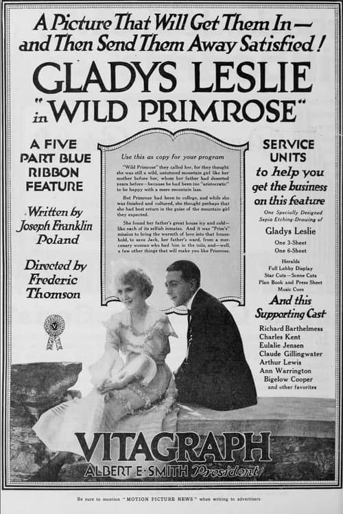 Wild Primrose (1918) poster