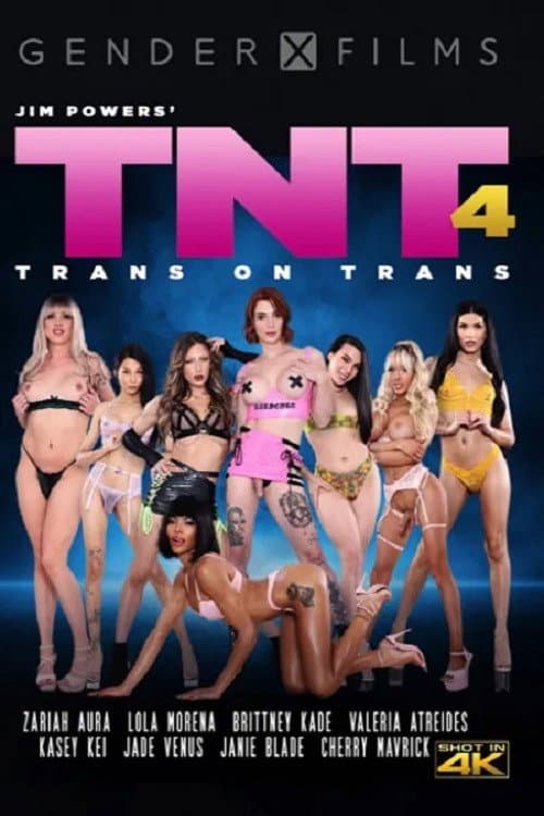 TNT: Trans on Trans 4 (2023) poster