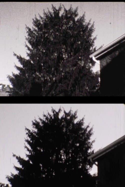 43 street Treelapse (2009) poster