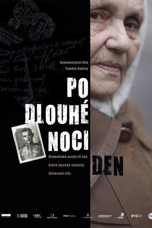 Po dlouhé noci den (2011) poster