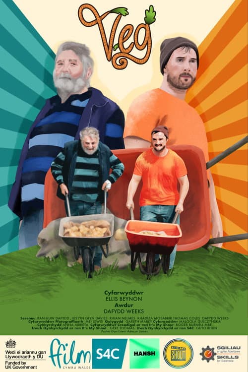 llysiau (2025) poster