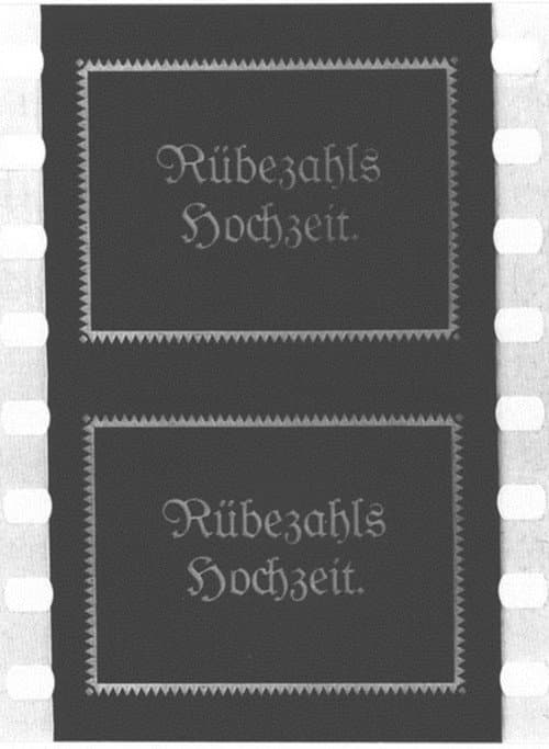 Rübezahls Hochzeit (1916) poster