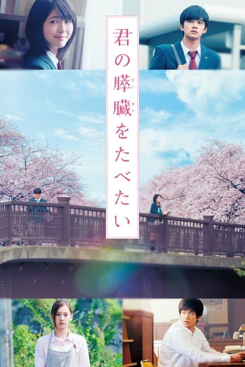 君の膵臓をたべたい (2017) poster