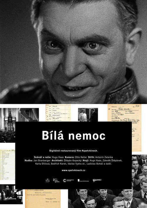 Bílá nemoc (1937) poster