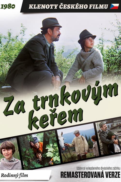 Za trnkovým keřem (1981) poster