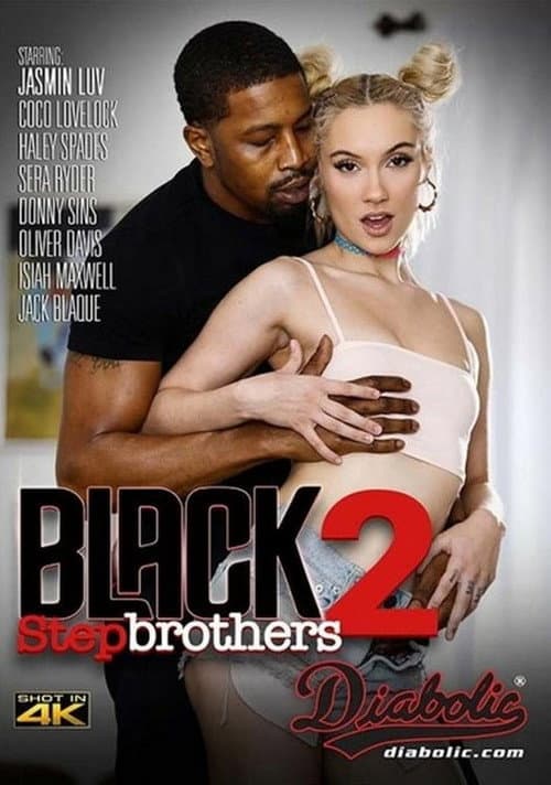 Black Stepbrothers 2 (2022) poster