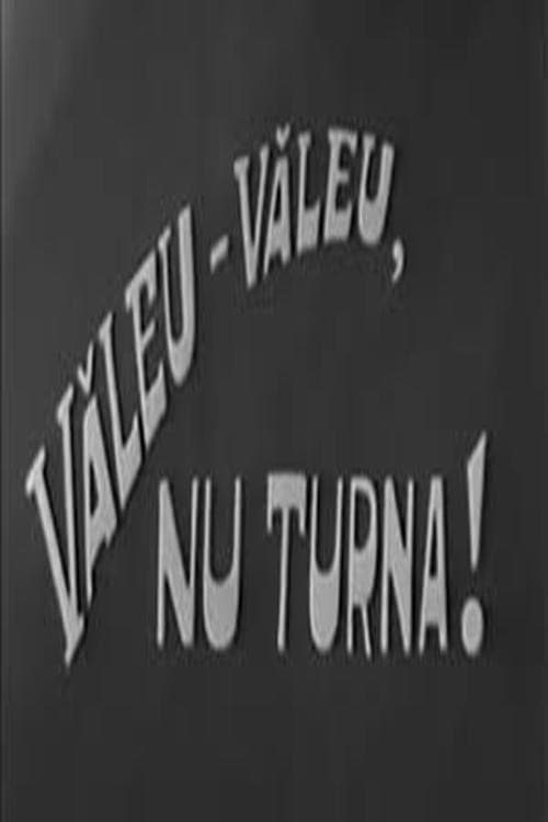 Văleu, văleu, nu turna! (1991) poster