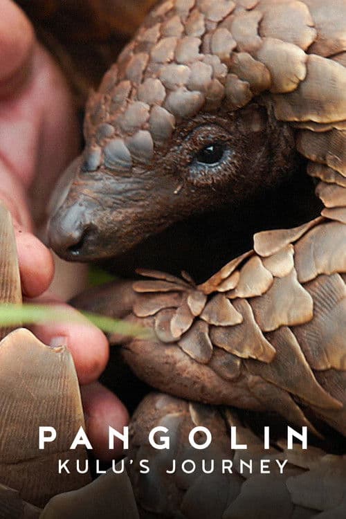 Pangolin: Kulu's Journey (2025) poster