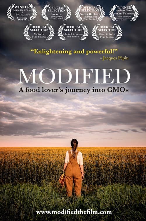 Modified (2017) poster