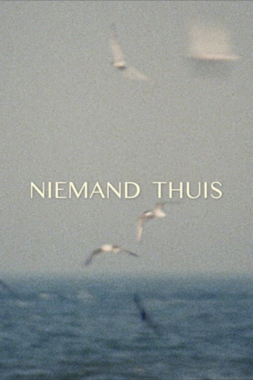 Niemand Thuis (2024) poster