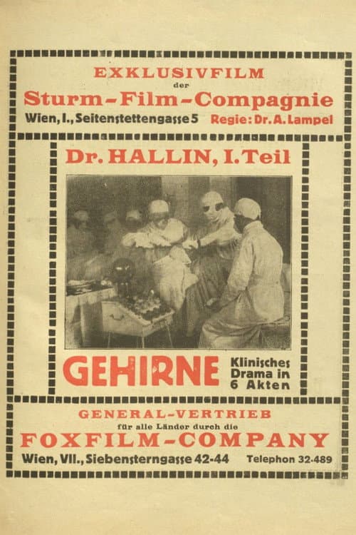 Dr. Hallin (1921) poster