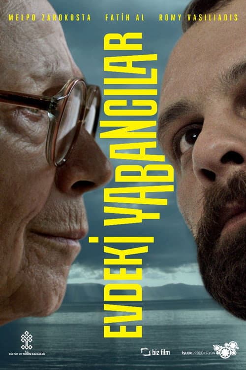 Evdeki Yabancılar (2013) poster