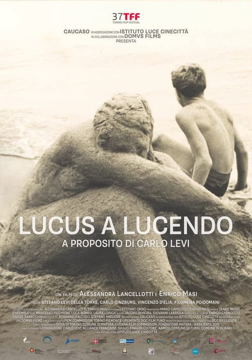 Lucus a Lucendo - A proposito di Carlo Levi (2019) poster