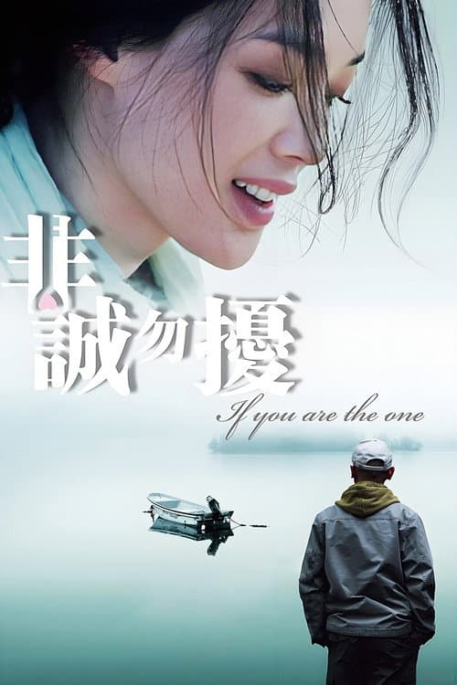 非诚勿扰 (2008) poster