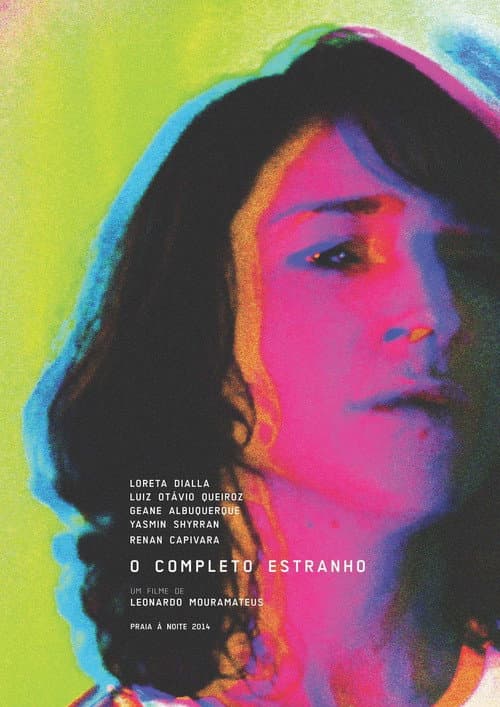 O Completo Estranho (2014) poster