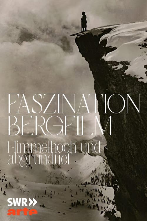 Faszination Bergfilm - Himmelhoch und Abgrundtief (2008) poster