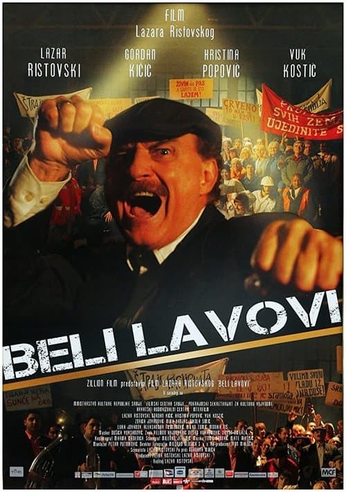 Beli lavovi (2011) poster