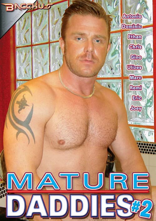 Mature Daddies 2 (2011) poster