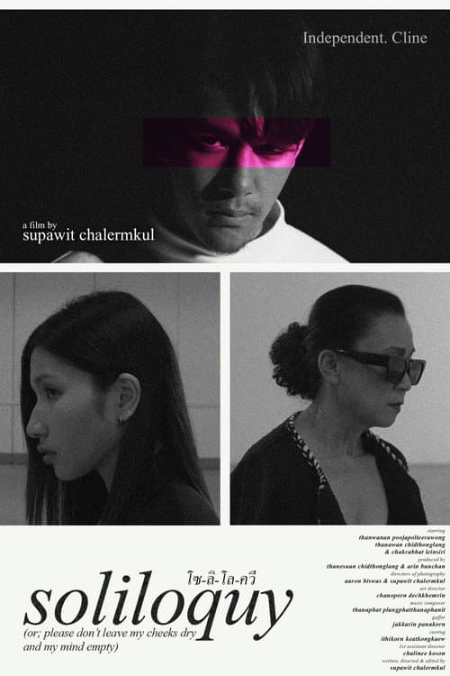 soliloquy (or; please don't leave my cheeks dry and my mind empty) (2024) poster